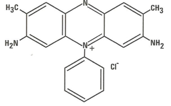 BASIC VIOLET 5